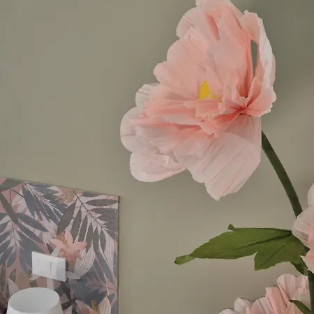 Clorophilla Appartamento