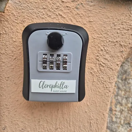 Apartman Clorophilla *