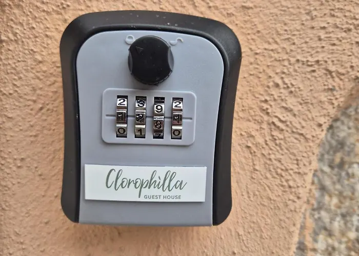 Appartement Clorophilla *